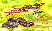 اولین جشنواره دانشجویی غذایی های محلی و سنتی همراه با لباس های بومی اقوام خراسانی در دانشکده بهداشت برگزار می گردد.